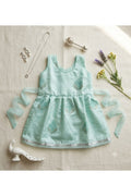 Pastel Green Organza Frock